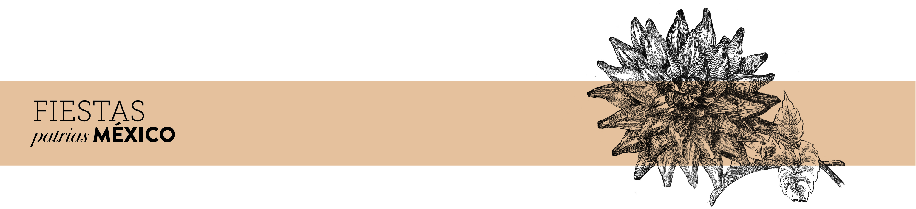 Fiestas Patrias México