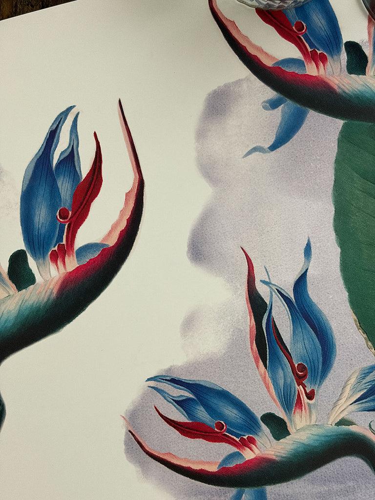 White Placemat · Bird of paradise