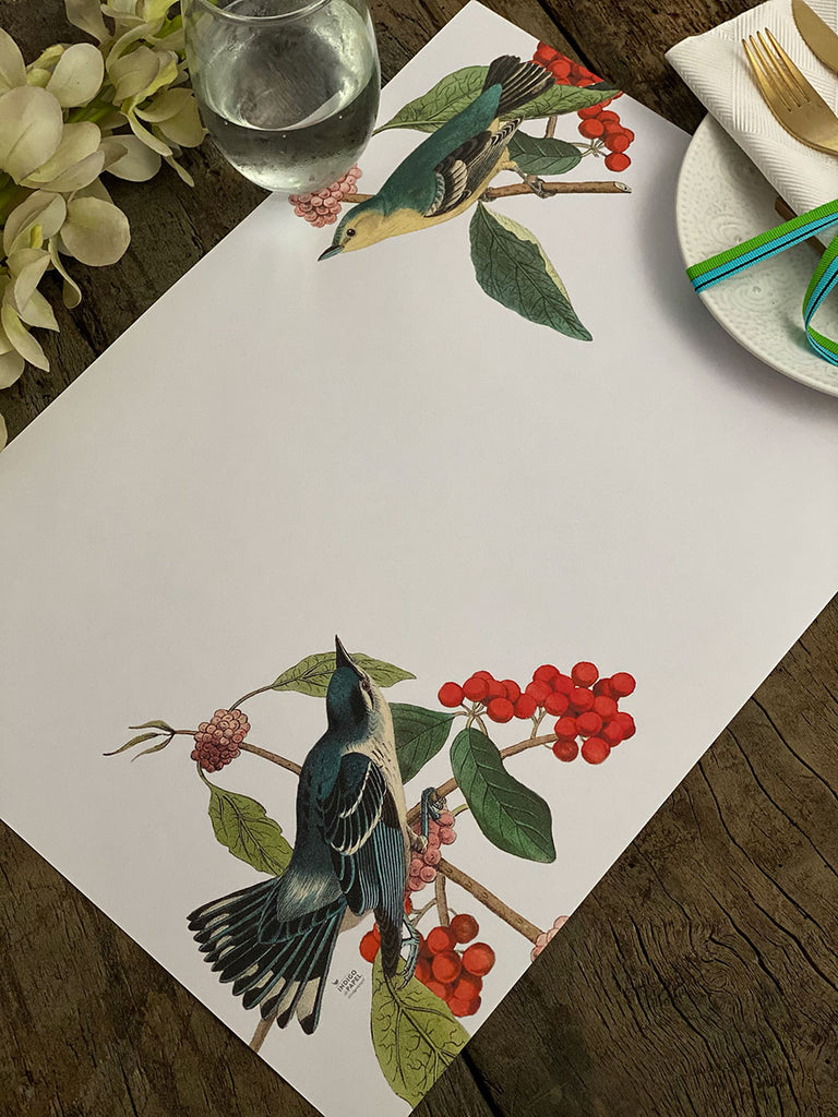 White Placemat · Fruit Birds