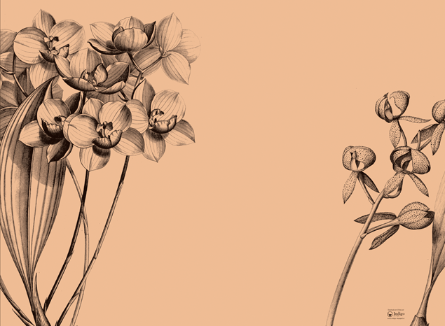 Kraft Placemat · Orchids