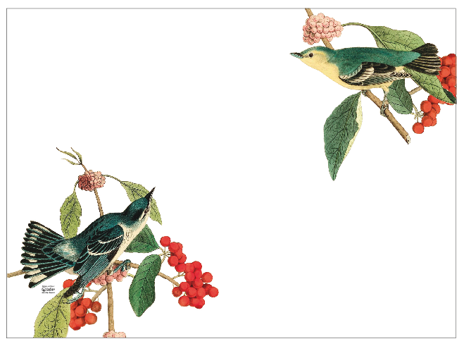 White Placemat · Fruit Birds