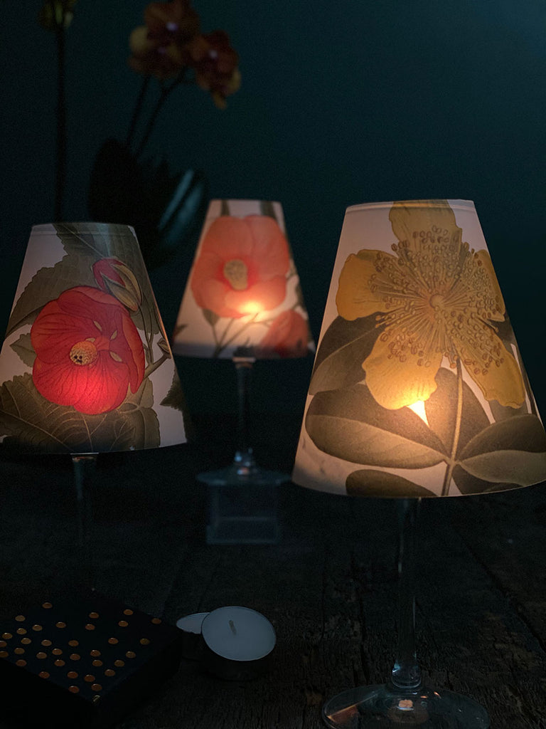 Lamp Shade · Indian Mallow