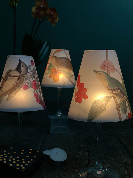 Lamp Shade · Fruit Birds