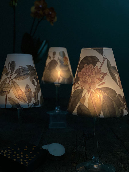 Lamp Shade · Botanic Plate