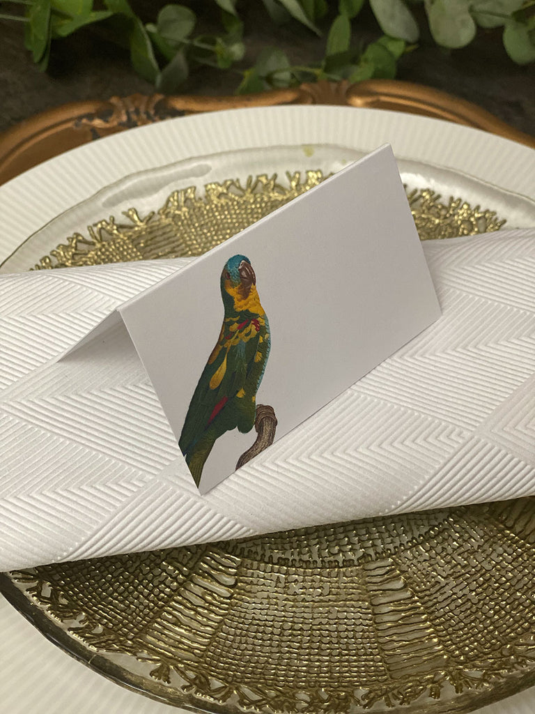 Placecard · Parrots