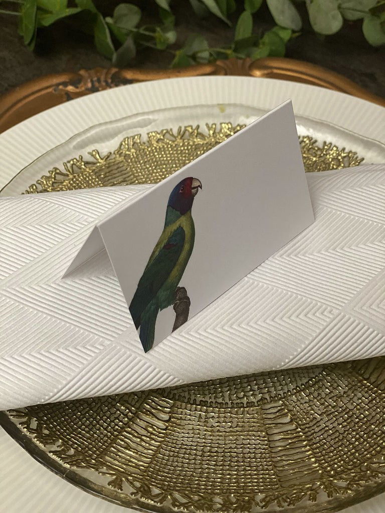 Placecard · Parrots