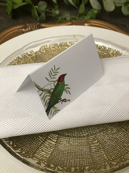 Placecard · Birds