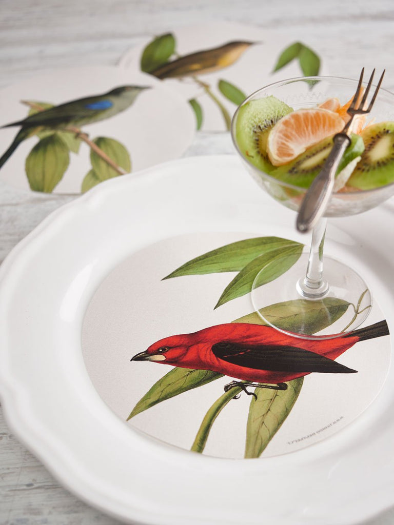 Plate Decor · Color Birds