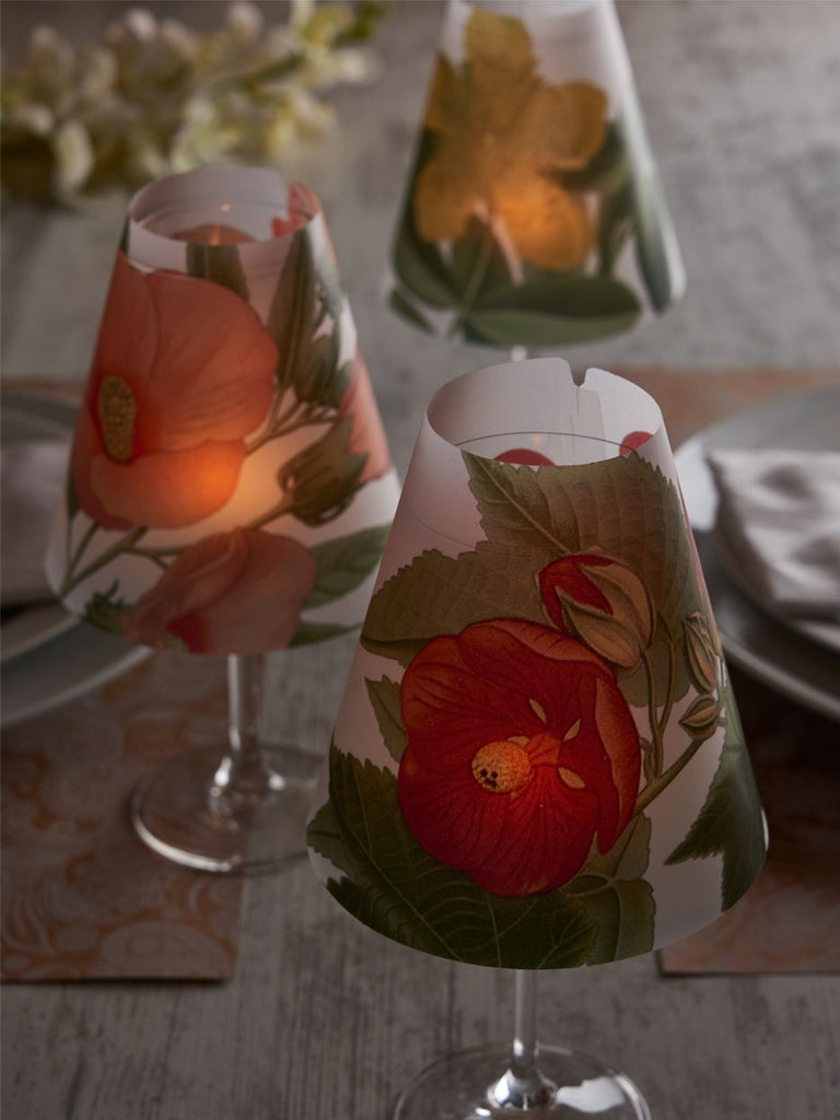 Lamp Shade · Indian Mallow