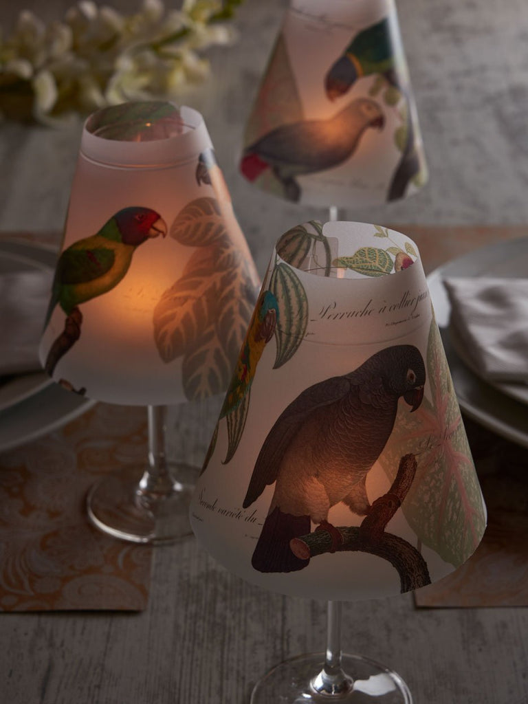 Lamp Shade · Parrots