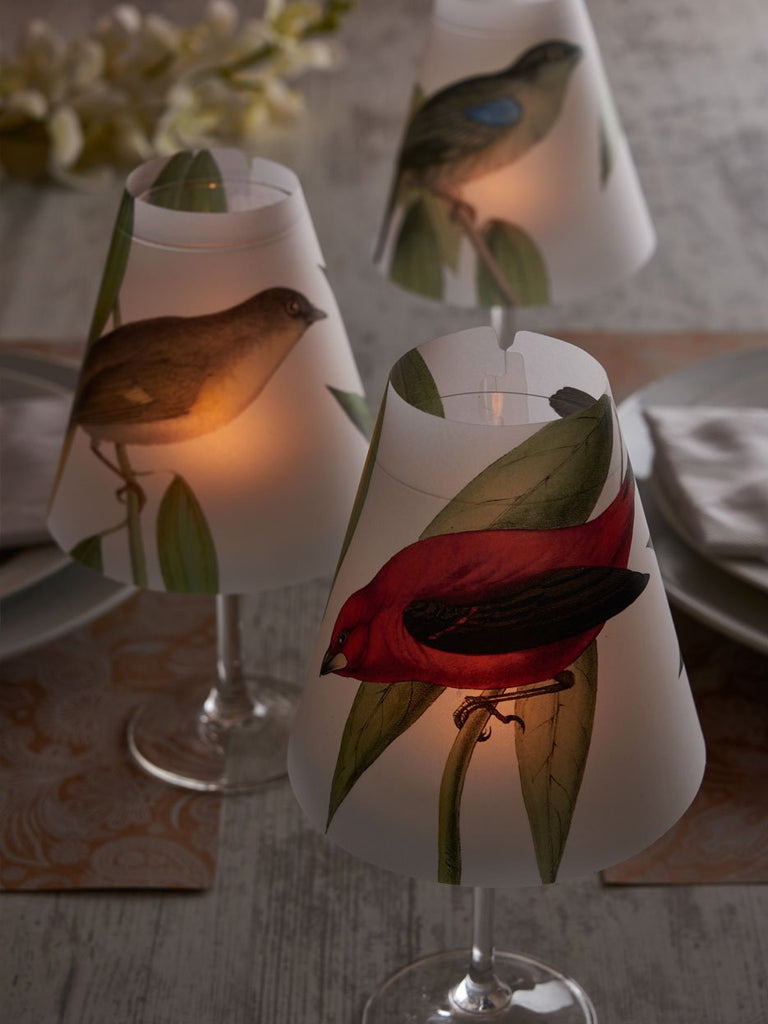 Lamp Shade · Color Birds