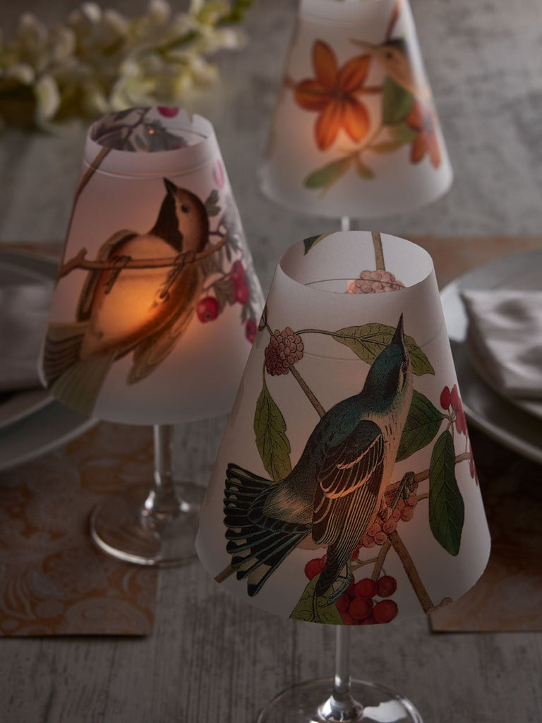 Lamp Shade · Fruit Birds