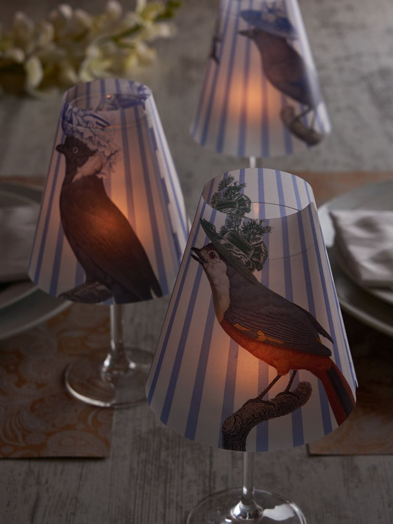 Lamp Shade · Cappelli Birds