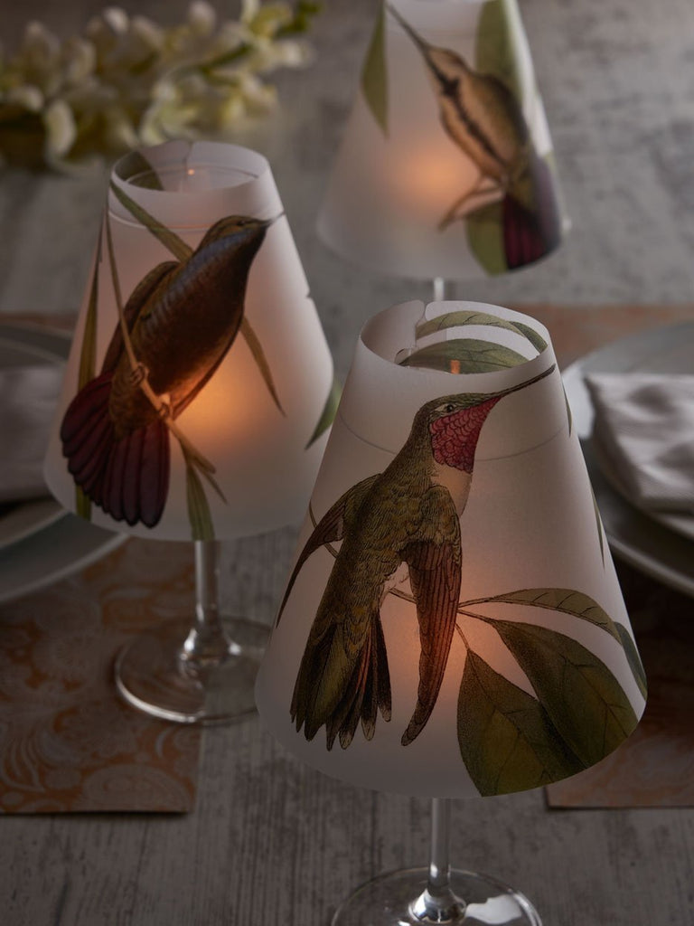 Lamp Shade · Hummingbird