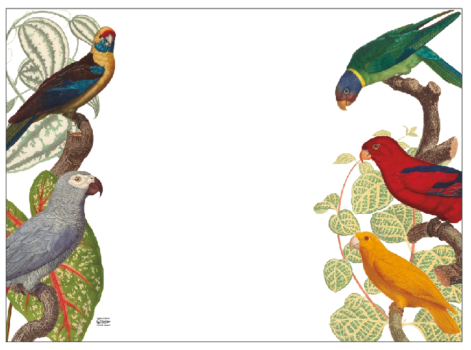 White Placemat · Parrots
