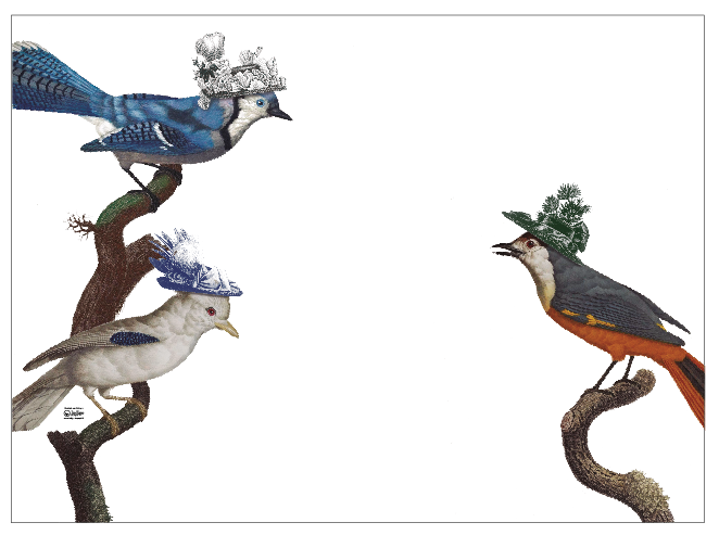 White Placemat · Cappelli Birds