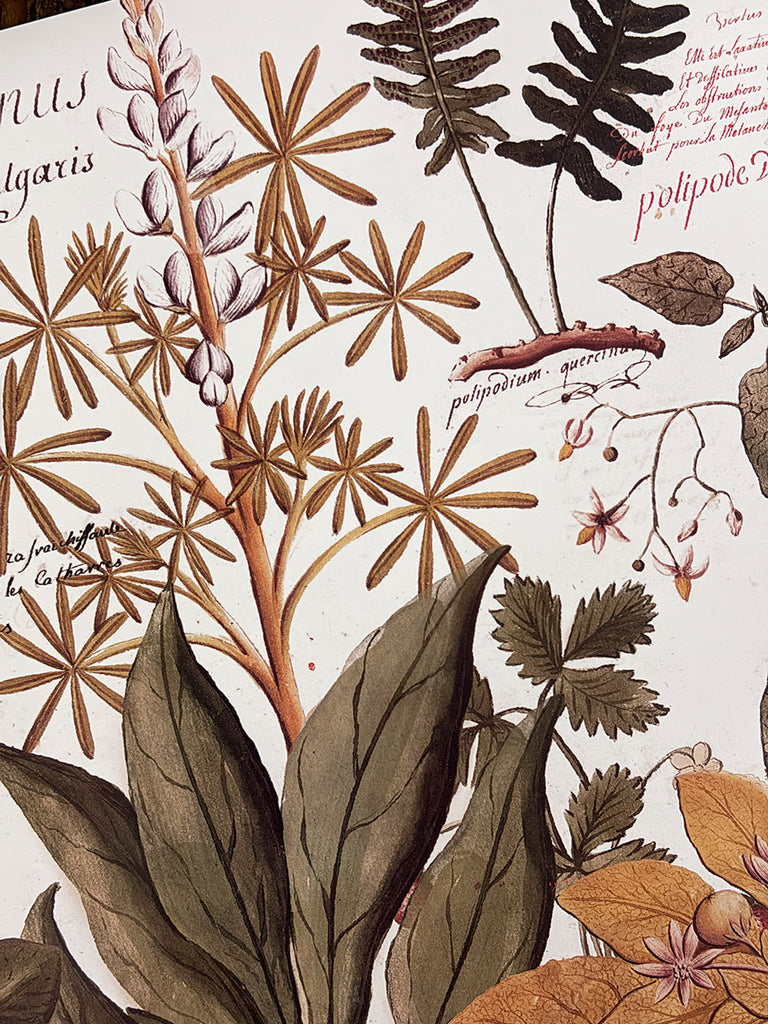 White Placemat · Botanic