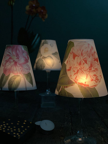 Lamp Shade · Camellia
