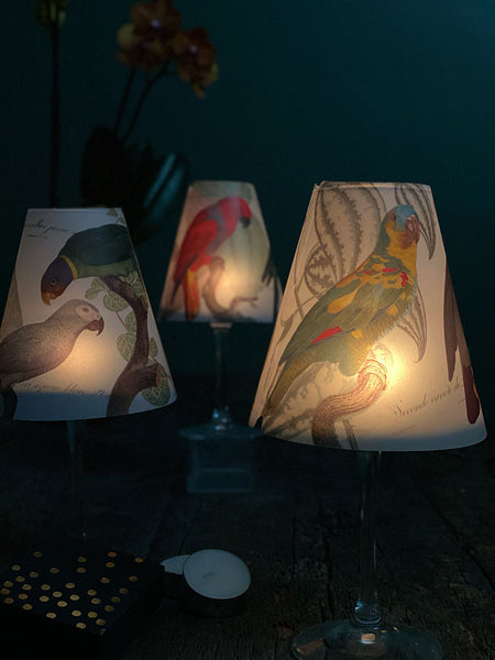 Lamp Shade · Parrots