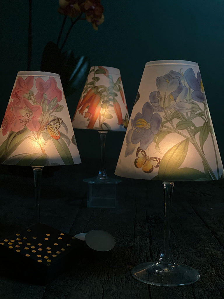 Lamp Shade · Butterflies