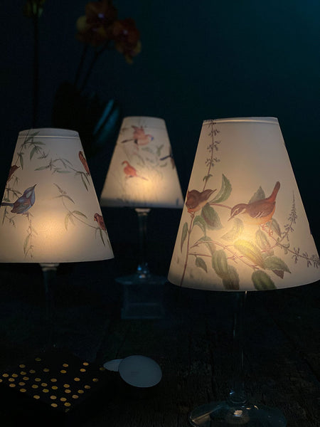 Lamp Shade · Australian Birds