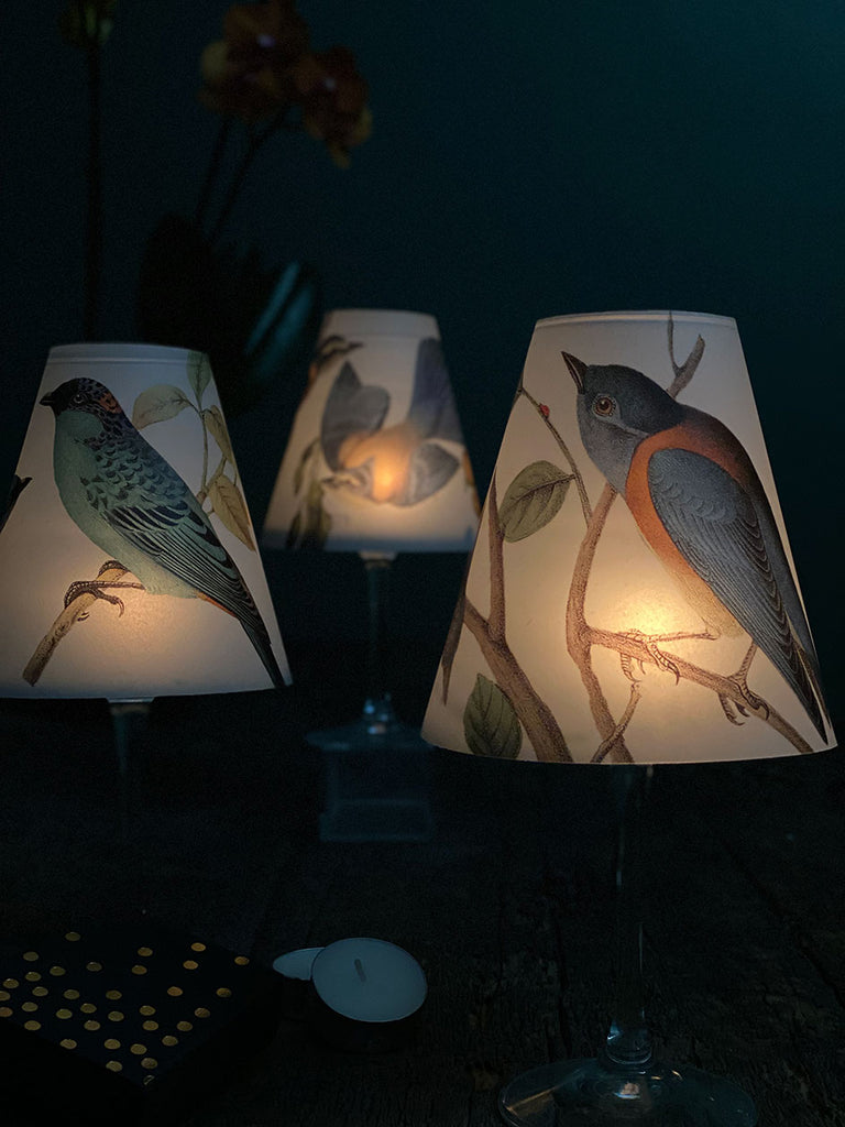 Lamp Shade · Blue Birds