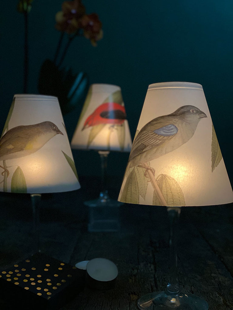 Lamp Shade · Color Birds