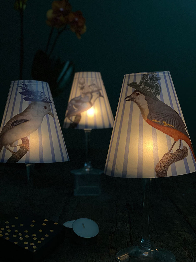 Lamp Shade · Cappelli Birds