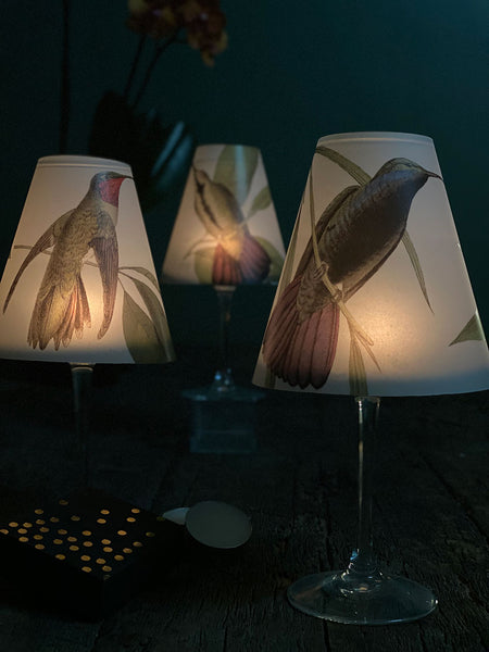 Lamp Shade · Hummingbird
