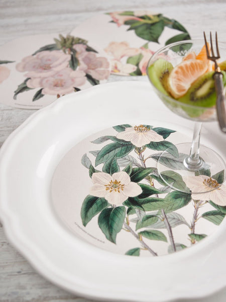 Plate Decor · White Flowers